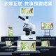 百斯通利超清智能屏高倍生物顯微鏡水產(chǎn)養殖看藻類(lèi)寄生蟲(chóng)魚(yú)病寵物醫院專(zhuān)用 一體機+7寸超清4K智能屏/拍照錄像連電腦手機