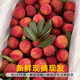 寒與會(huì)冷凍荔枝白糖罌現(xiàn)摘速凍老樹大果妃子桂笑味凍荔枝 2斤