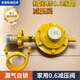 新國(guó)標(biāo)液化氣減壓閥煤氣罐閥門防爆低壓家用自閉0.6煤氣閥自鎖 0.6國(guó)標(biāo)減壓閥+2米金屬管