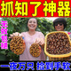 花曉祥知了捕捉器抓知了神器爬叉猴金蟬新鮮幼蟲蛹專用誘蟬水戶外收集粘 一瓶裝