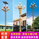 中華燈玉蘭燈6米9火8米10米定制戶外LED景觀燈市政工程高桿道路燈 玉蘭燈10-12米定制