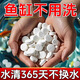 魚(yú)缸長(cháng)效凈水片凈水劑除臭去腥大蘇打自來(lái)水養魚(yú)水困水硝化細菌 魚(yú)缸不換水【1瓶/100片】一片清
