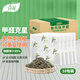 春風(fēng)茶葉梗10包新房去甲醛新車除味除甲醛汽車內(nèi)除味家具吸甲醛茶葉包