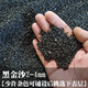 OIMG黑金沙黑沙子金剛砂魚(yú)缸造景底砂水族箱底沙觀(guān)賞蝦孔雀魚(yú)水草砂 5斤 黑金沙2-4毫米