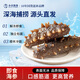 小兵海參即食海參大連深海遼刺參獨(dú)立包裝化凍即食遼參官方旗艦店 3斤裝 中頭（7-9只/斤）