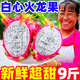 黃六爺云南白心火龍果新鮮水果9斤金都整箱一號(hào)當(dāng)季現(xiàn)摘紅蜜寶心火龍果 3斤 【中果300-350g】新鮮超甜