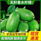 新鮮現摘海南無(wú)籽香水檸檬奶茶專(zhuān)用青檸檬新鮮生鮮水果檸檬青檸檬 5斤海南香水檸檬大果