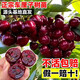 歐悟正宗煙臺嫁接車(chē)厘子樹(shù)苗大櫻桃樹(shù)苗南北方種植庭院陽(yáng)臺盆栽果樹(shù)苗 黑珍珠6年苗