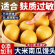 無小麥大米南瓜雜糧饅頭不加白面純手工無加麩質糖尿人早餐面點 大米南瓜饅頭*10個裝
