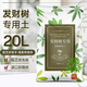 金雅特營(yíng)養土發(fā)財樹(shù)專(zhuān)用土壤陽(yáng)臺泥炭椰磚土肥料有機種植土通用20升