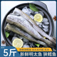 新鮮延邊明太魚新鮮冷凍批發(fā)無頭大號(hào)狹鱈魚明太魚整條無冰 去頭去內(nèi)臟5斤