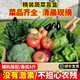 密農(nóng)人家新鮮蔬菜盲盒 農(nóng)家蔬菜組合 至少5種蔬菜搭配 當(dāng)季時(shí)令蔬菜5斤 5斤