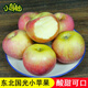【多人回購】國光蘋(píng)果東北遼寧瓦房店蓋縣特產(chǎn)小果光酸新鮮 單果重100-150克 主流等級 5斤