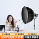 森迪威500W直播補光燈球形打光燈專(zhuān)業(yè)服飾珠寶影視直播拍照攝影燈光設備主播專(zhuān)用拍攝柔光燈 SL300W【小號深拋+格柵】