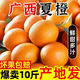 廣西新鮮現(xiàn)摘爆甜多汁夏橙 9-10斤 5-6斤