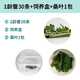 彩色蠶寶寶天然金絲蠶小學(xué)生養(yǎng)蠶工具全套套餐蠶卵套裝爬蟲飼養(yǎng)盒 1齡蠶30條+中號透氣盒+桑葉