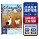 【中國(guó)全球任選】孤獨(dú)星球旅行指南 Lonely Planet  LP自駕游旅行 旅游地圖 旅行攻略 旅游攻略 東北