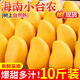 海南小臺(tái)農(nóng)芒果10斤新鮮小臺(tái)芒應(yīng)當(dāng)季熱帶水果現(xiàn)摘甜心芒大果包郵 3斤裝 小果【50-80g】