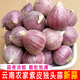 味小仙紫皮獨(dú)頭蒜干蒜 2025新蒜 獨(dú)頭大蒜頭蔬菜 干珍珠獨(dú)蒜(2.0cm以下) 5斤