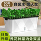 德沃多肥料種菜盆長(cháng)方形種植箱塑料加厚自動(dòng)吸水花盆種菜箱蔬菜種植盆大號