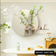 oein餐廳墻面裝飾掛畫(huà)高級感壁掛花器墻上水培花瓶綠植掛墻掛件裝飾品 圓圓滿(mǎn)滿(mǎn) 高度50cm【高亮晶瓷面】