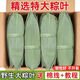 粽子葉干大號新葉包粽子的葉子干粽葉商用箬竹葉鮮棕葉子 干粽葉100片【精品9-12cm】送繩