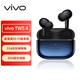 vivo TWS 4真無(wú)線(xiàn)降噪藍(lán)牙耳機(jī)入耳式通話(huà)運(yùn)動(dòng)耳麥游戲低延遲通用華為oppo蘋(píng)果小米手機(jī) 至臻藍(lán)【HiFi版】