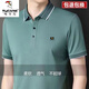 啄木鳥(niǎo)夏季冰絲棉彈短袖t恤男中年商務(wù)T恤透氣上衣寬松翻領(lǐng)polo保羅衫男 558綠色【不變形不褪色】 2XL 180建議150-170斤