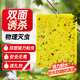 地依貓粘蟲(chóng)板黃板誘蟲(chóng)板20張滅蒼蠅貼滅蚊蟲(chóng)小飛蟲(chóng)誘捕神器