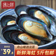 遇上鮮 舟山鮮活海虹 嵊泗淡菜新鮮青口貝 海鮮水產(chǎn) 野生大號(hào)貽貝 【新鮮海虹】 5斤(凈重)