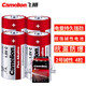 飛獅（Camelion）堿性電池 干電池 LR14/C/中號(hào)/2號(hào) 電池 4節(jié) 燃?xì)庠?熱水器/收音機(jī)/手電筒/電子琴