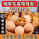 【生】農家新鮮毛蛋雞胚蛋毛雞蛋喜蛋旺雞蛋活珠子鳳凰蛋整箱LL 40枚（生的）順豐/JD快遞