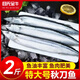 目無全牛特大號秋刀魚新鮮海捕秋刀魚冷凍海秋刀燒烤食材500g/包 秋刀魚 2斤