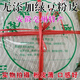 粉皮綠豆 粉皮安徽正宗亳州特產(chǎn)綠豆粉銅關(guān)涼皮食材涼拌 銅關(guān)粉皮10張