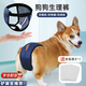 SMVP狗狗生理褲姨媽褲母狗專用寵物內(nèi)褲經(jīng)期防騷擾衛(wèi)生巾安全褲月經(jīng)褲 M【建議13-23斤】 黑色生理褲-【送替換棉三片】