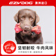 EZYDOG澳洲進(jìn)口狗玩具飛盤互動(dòng)玩具骨頭磨牙耐咬陪伴解悶大中小型犬玩具 天然橡膠牛骨（小號(hào)10cm）
