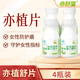 亦舒堂乃立清 亦植片 官方品牌店 和硒片 亦植舒片 正品硒維康口嚼片 【黃·異味·癢】宮腔舒緩 4瓶周期