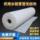 皇傲名家 白色無(wú)紡布布料整卷不織布透氣防塵農用苗圃無(wú)紡布水稻育秧苗 【普通款30g】1.1米寬*280米長(cháng)