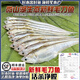 云映漁舟微山湖漁捕毛刀魚(yú)新鮮活魚(yú)現殺刀魚(yú)凈膛新鮮小河魚(yú)小雜魚(yú)生鮮順豐 2斤中號毛刀魚(yú)（每斤25-50條） 殺完損耗百分之15