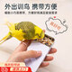 訓鳥(niǎo)食盒鸚鵡手拿訓練喂食罐虎皮牡丹玄鳳八哥獎勵訓鳥(niǎo)蟲(chóng)盒喂食器 訓鳥(niǎo)食盒兩個(gè)【隨機色】