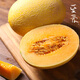 新疆至愛(ài)蜜瓜 正宗超甜哈密瓜 當季網(wǎng)紋瓜冰淇淋香瓜西州蜜甜瓜 5-6斤/箱（2個(gè)）