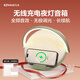 幾光雕塑家藍(lán)牙音箱無線充電音響臺燈家用臥室床頭結(jié)婚男女生日禮物 雕塑家藍(lán)牙夜燈音箱丨冰奶綠