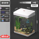 最萌魚(yú)缸新款家用小型觀(guān)賞魚(yú)魚(yú)缸三合一節能水泵過(guò)濾制氧一體機烏龜缸 24X17X28（帶蓋標準套餐）