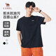 駱駝（CAMEL）男裝三防短袖t恤男春夏季圓領(lǐng)戶外山系休閑半袖體恤M15BAQR082