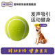 宜特（EETOYS）綠色網(wǎng)球狗狗玩具發(fā)聲互動(dòng)可水洗潔齒球寵物用品