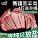 三疆牧羊 新疆羊肉乳羔羊排4斤整塊原切散養大尾羊火鍋燒烤食材源頭直發(fā) 新疆乳羔羊排整塊4斤