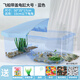 寵尚天 烏龜缸別墅生態(tài)飼養箱小烏龜活物活體龜盆寵物龜中華草龜 【帶蓋】大號龜缸 藍+大禮包+2龜