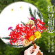 佳茉干花團(tuán)扇手工diy材料包永生花古風(fēng)扇兒童手工扇子團(tuán)建活動 紅豆相思袋裝祝福畢業(yè)季禮物送老師同學(xué)
