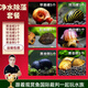 云峰海瑞 觀(guān)賞螺水族活體缸壁除藻螺魚(yú)缸除藻清淤活化床底 凈水除藻套餐