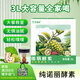 歡諾多 諾麗酵素大容量諾麗果發(fā)酵原漿原液孝素果蔬汁3L送禮